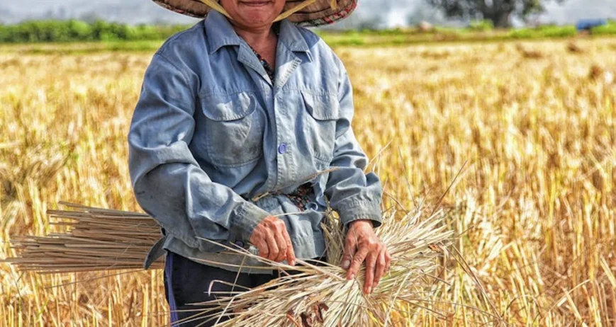 There are many variations of passages of Lorem Ipsum available, but majority have suffered teration in some form, by injected humour, or randomised words which don't look even slight believable. If you are going to use a passage of Lorem Ipsum.