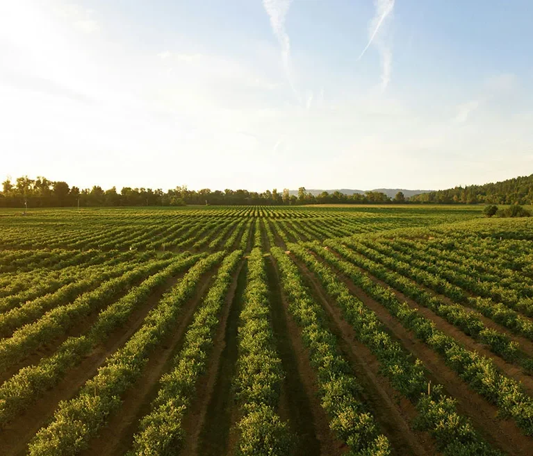 There are many variations of passages of Lorem Ipsum available, but majority have suffered teration in some form, by injected humour, or randomised words which don't look even slight believable. If you are going to use a passage of Lorem Ipsum.