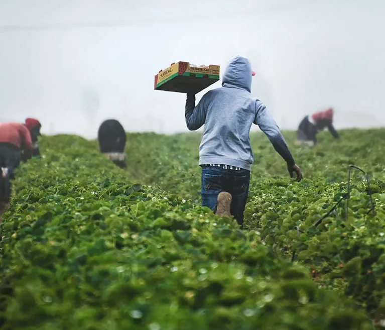 There are many variations of passages of Lorem Ipsum available, but majority have suffered teration in some form, by injected humour, or randomised words which don't look even slight believable. If you are going to use a passage of Lorem Ipsum.