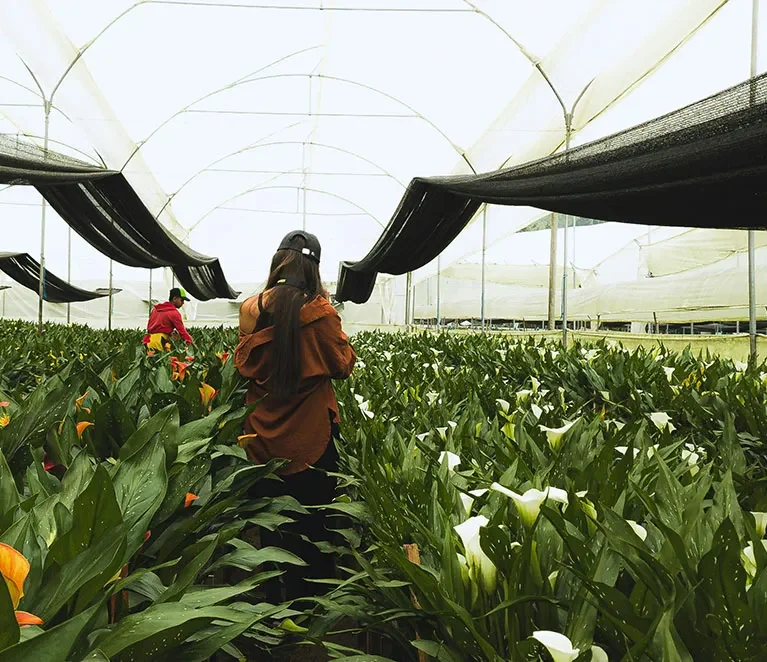 There are many variations of passages of Lorem Ipsum available, but majority have suffered teration in some form, by injected humour, or randomised words which don't look even slight believable. If you are going to use a passage of Lorem Ipsum.