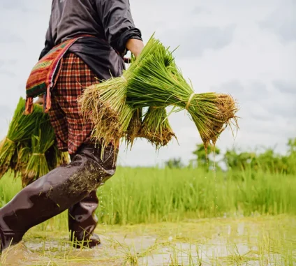 There are many variations of passages of Lorem Ipsum available, but majority have suffered teration in some form, by injected humour, or randomised words which don't look even slight believable. If you are going to use a passage of Lorem Ipsum.