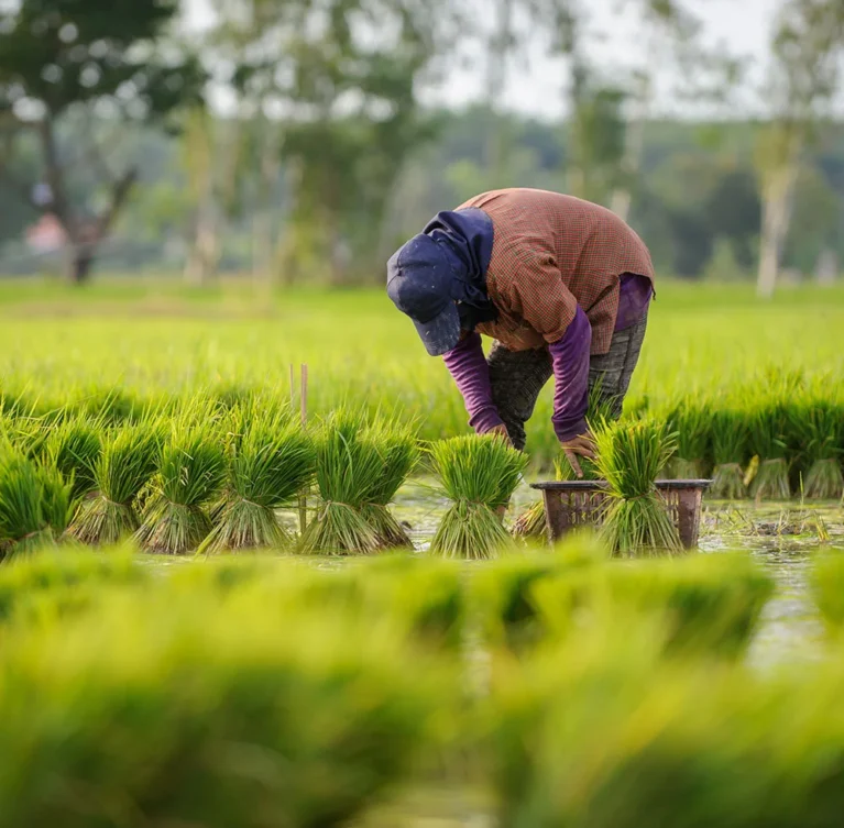 Accelerate innovation with world-class tech teams We’ll match you