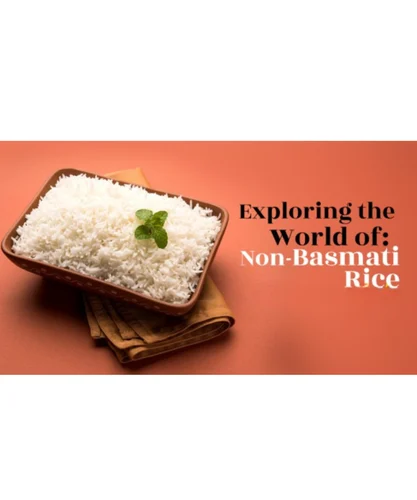 Medium Grain Basmati Rice - Image 3